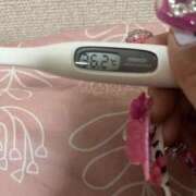 ヒメ日記 2025/07/05 15:19 投稿 本田　なな つくば風俗エキスプレス   ヌキ坂46