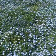 ヒメ日記 2025/05/12 22:14 投稿 【横野 ゆうこ】 梅田ムチSpa女学院