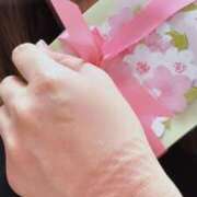 ヒメ日記 2025/04/01 20:51 投稿 こなつ 無我（むが）