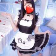 ヒメ日記 2026/02/07 17:01 投稿 ののか セクシーキャット 神田店