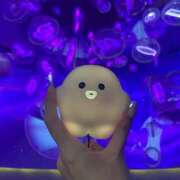 ヒメ日記 2025/09/24 13:32 投稿 きょうか スピードエコ難波店