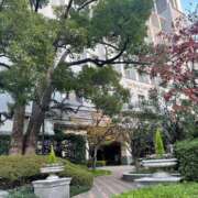 ヒメ日記 2024/12/08 11:25 投稿 おとは 熟女家 東大阪店（布施・長田）