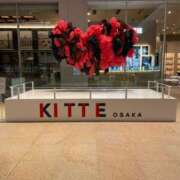 ヒメ日記 2024/12/18 11:25 投稿 おとは 熟女家 東大阪店（布施・長田）