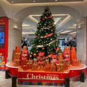 ヒメ日記 2024/12/24 11:42 投稿 おとは 熟女家 東大阪店（布施・長田）