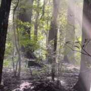 ヒメ日記 2025/02/08 11:45 投稿 おとは 熟女家 東大阪店（布施・長田）