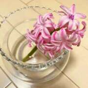 ヒメ日記 2025/03/04 11:15 投稿 おとは 熟女家 東大阪店（布施・長田）