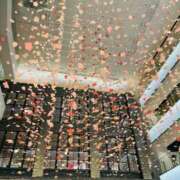 ヒメ日記 2025/03/13 11:09 投稿 おとは 熟女家 東大阪店（布施・長田）