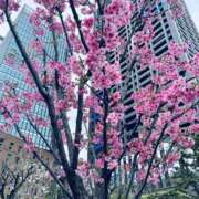 ヒメ日記 2025/04/09 11:25 投稿 おとは 熟女家 東大阪店（布施・長田）