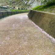 ヒメ日記 2025/04/17 11:27 投稿 おとは 熟女家 東大阪店（布施・長田）