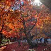 ヒメ日記 2025/12/01 11:05 投稿 おとは 熟女家 東大阪店（布施・長田）