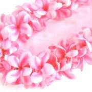 ヒメ日記 2026/02/26 11:25 投稿 おとは 熟女家 東大阪店（布施・長田）