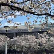 ヒメ日記 2026/04/06 11:25 投稿 おとは 熟女家 東大阪店（布施・長田）