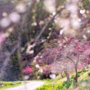 ヒメ日記 2025/03/15 19:10 投稿 麻由子(まゆこ) エッチな熟女(広島)