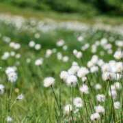 ヒメ日記 2025/06/29 21:30 投稿 麻由子(まゆこ) エッチな熟女(広島)