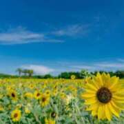 ヒメ日記 2025/08/03 22:43 投稿 麻由子(まゆこ) エッチな熟女(広島)