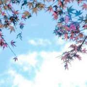 麻由子(まゆこ) 本日のお礼♡ エッチな熟女(広島)