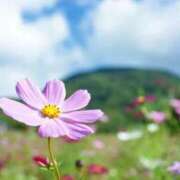 麻由子(まゆこ) 本日のお礼♡ エッチな熟女(広島)