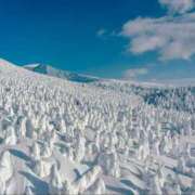 ヒメ日記 2025/02/04 14:32 投稿 長門実愛 催眠SM性感クラブ