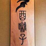 ヒメ日記 2025/02/25 20:00 投稿 長門実愛 催眠SM性感クラブ