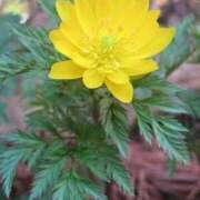 ヒメ日記 2025/02/27 12:30 投稿 長門実愛 催眠SM性感クラブ