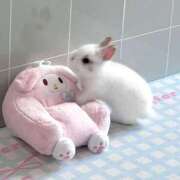 ヒメ日記 2025/03/12 19:30 投稿 長門実愛 催眠SM性感クラブ