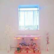 ヒメ日記 2025/03/12 20:00 投稿 長門実愛 催眠SM性感クラブ