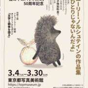 ヒメ日記 2025/03/16 15:00 投稿 長門実愛 催眠SM性感クラブ