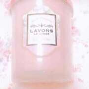 ヒメ日記 2025/03/21 17:30 投稿 長門実愛 催眠SM性感クラブ