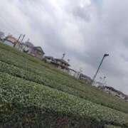 ヒメ日記 2025/03/26 19:52 投稿 長門実愛 催眠SM性感クラブ