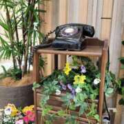 ヒメ日記 2025/04/06 21:30 投稿 長門実愛 催眠SM性感クラブ