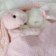 ヒメ日記 2025/04/26 10:00 投稿 長門実愛 催眠SM性感クラブ