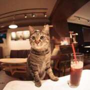 ヒメ日記 2025/04/27 13:15 投稿 長門実愛 催眠SM性感クラブ