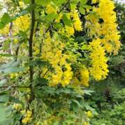 ヒメ日記 2025/05/10 22:47 投稿 長門実愛 催眠SM性感クラブ