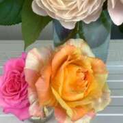 ヒメ日記 2025/05/17 17:00 投稿 長門実愛 催眠SM性感クラブ