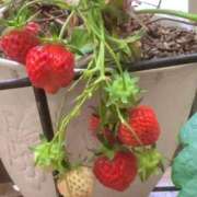 ヒメ日記 2025/05/23 19:00 投稿 長門実愛 催眠SM性感クラブ