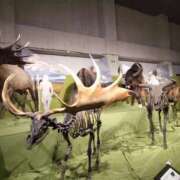 ヒメ日記 2025/08/23 20:00 投稿 長門実愛 催眠SM性感クラブ