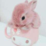 ヒメ日記 2025/09/27 13:00 投稿 長門実愛 催眠SM性感クラブ