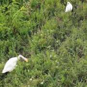 ヒメ日記 2025/10/08 22:46 投稿 長門実愛 催眠SM性感クラブ