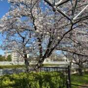 ヒメ日記 2025/04/10 13:42 投稿 あすな 熟女の風俗最終章 西川口店