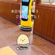 ヒメ日記 2025/06/11 04:52 投稿 きみ 横浜・関内サンキュー