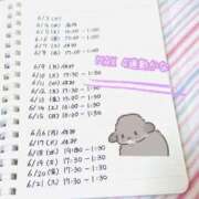 ヒメ日記 2025/06/26 02:12 投稿 きみ 横浜・関内サンキュー