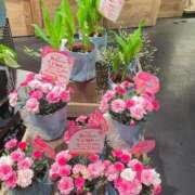 ヒメ日記 2025/05/01 18:01 投稿 中田 熟女の風俗最終章 新横浜店