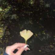 ヒメ日記 2025/05/19 14:26 投稿 中田 熟女の風俗最終章 新横浜店