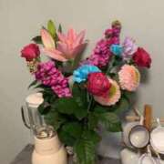 ヒメ日記 2026/02/14 17:58 投稿 中田 熟女の風俗最終章 新横浜店