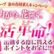 ヒメ日記 2025/04/12 18:21 投稿 みなと 大宮おかあさん