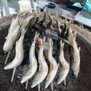 ヒメ日記 2025/07/25 13:30 投稿 みなと 大宮おかあさん