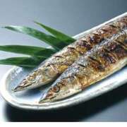 ヒメ日記 2025/08/28 20:56 投稿 みなと 大宮おかあさん