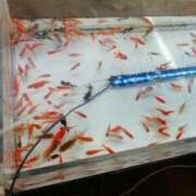 ヒメ日記 2025/10/12 11:06 投稿 みなと 大宮おかあさん