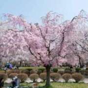 ヒメ日記 2026/03/27 15:46 投稿 みなと 大宮おかあさん