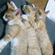 ヒメ日記 2026/04/17 13:21 投稿 みなと 大宮おかあさん